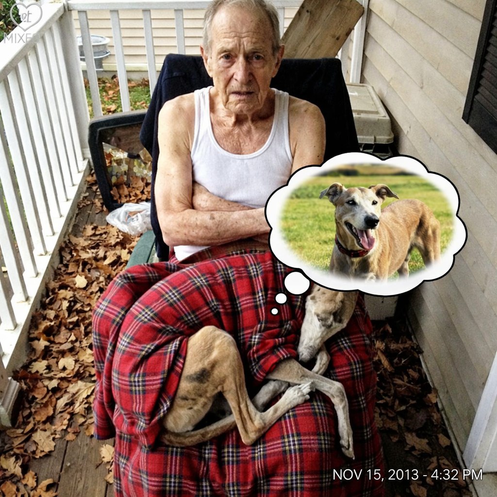 Ma rákiabáltam a nyolcvanéves apámra, mert túlságosan törődött egy kutyával. Nem volt idegen.